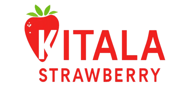 Kitala Stroberi Logo