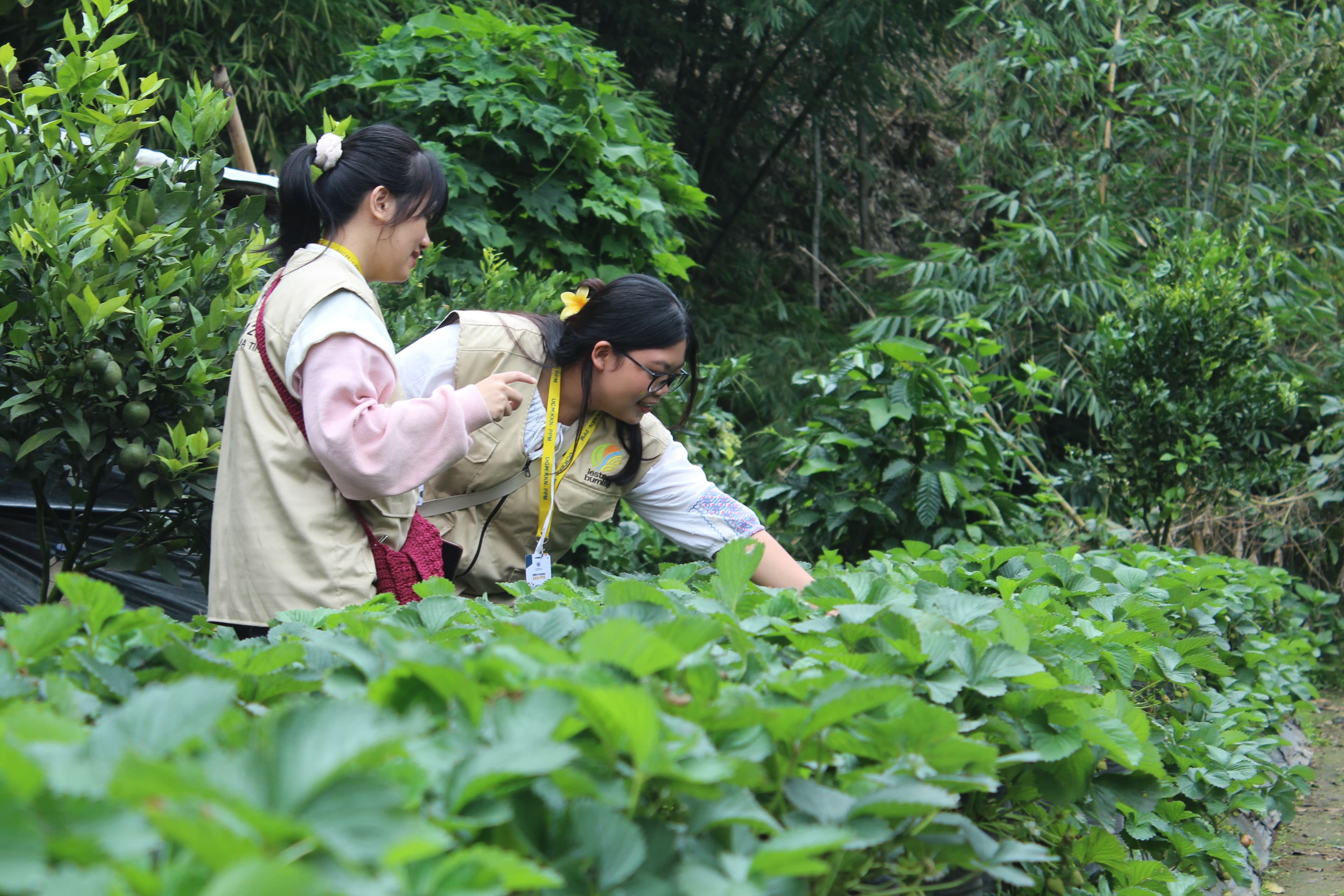 Dua orang Tersenyum Bersama Stroberi